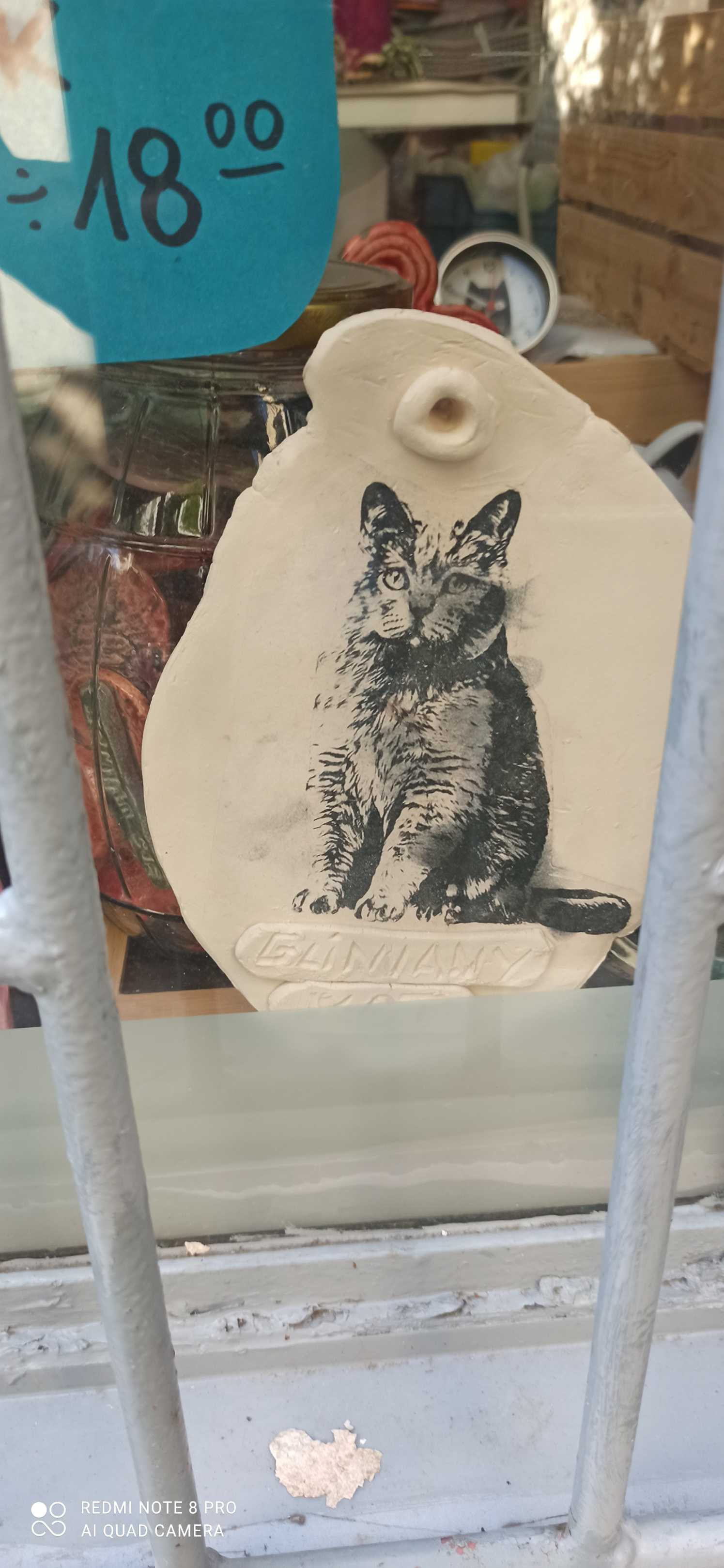 cat_picture_window